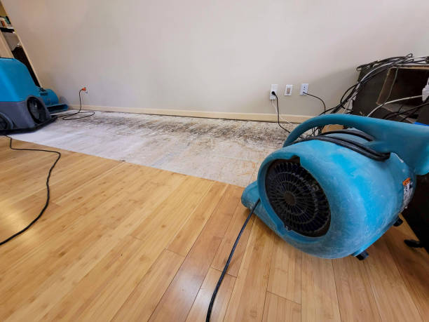 Professional Flood Damage Cleanup technician working in Kimball, MN